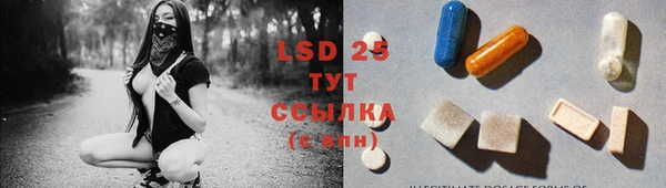 PSILOCYBIN Алзамай