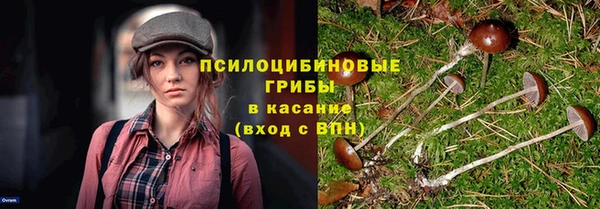 PSILOCYBIN Алзамай