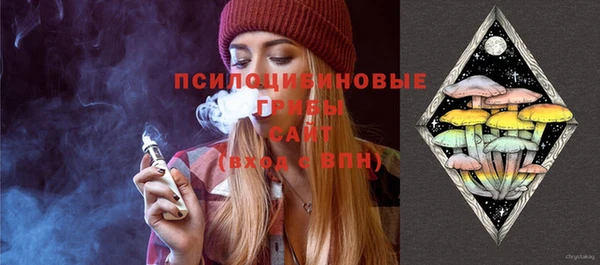 стафф Михайловск
